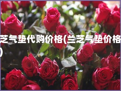 兰芝气垫代购价格(兰芝气垫价格查询)