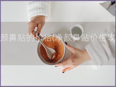 净颜鼻贴的价格(净颜鼻贴价格攻略)