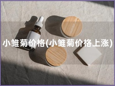 小雏菊价格(小雏菊价格上涨)