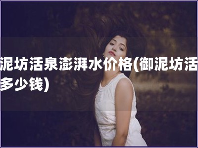 御泥坊活泉澎湃水价格(御泥坊活泉水多少钱)