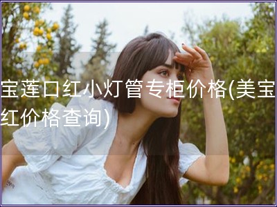 美宝莲口红小灯管专柜价格(美宝莲口红价格查询)