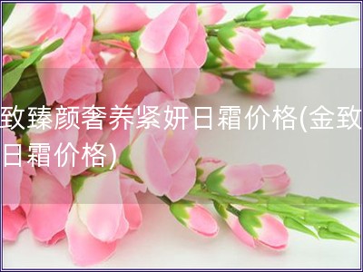 金致臻颜奢养紧妍日霜价格(金致臻颜日霜价格)